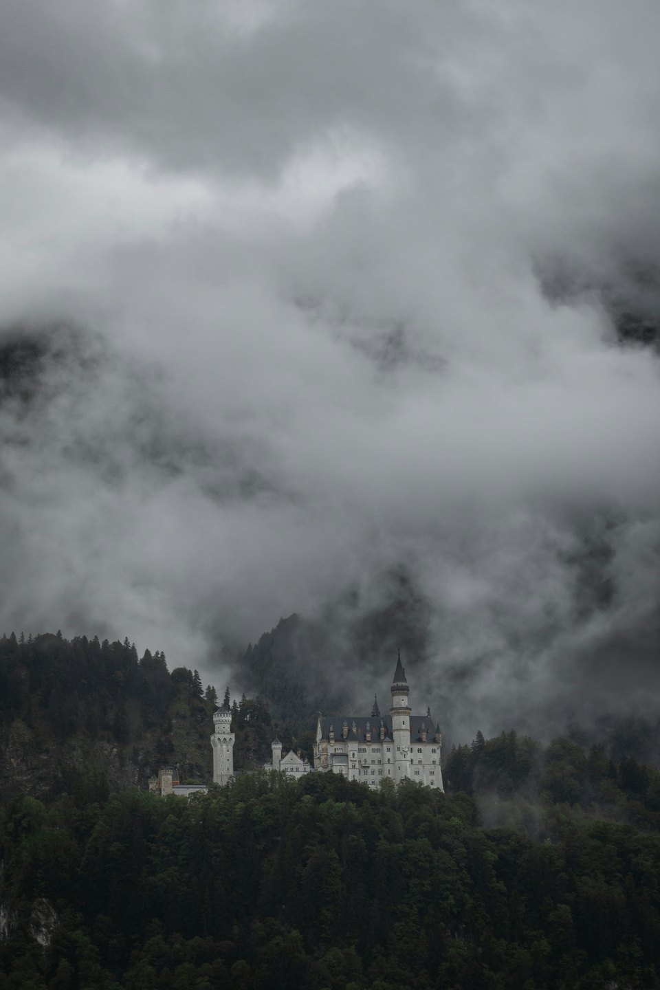 Eine weiße Burg mit Türmchen thront auf einem bewaldeten Berg.